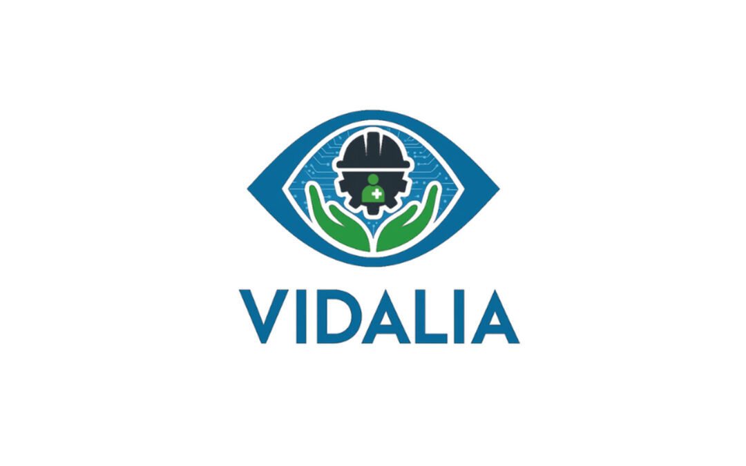VIDALIA: investigación en un sistema innovador de visión artificial en entornos industriales y socio-sanitarios